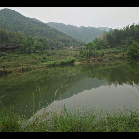 屋後有水池風水|【屋後有水池風水】屋後有水池風水？專家解密「後方水池」影。